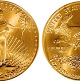 Sjevernoamerički zlatni orao (American gold eagle)