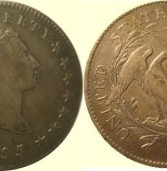 Srebrnjak “raspletene kose” izvrsna investicija